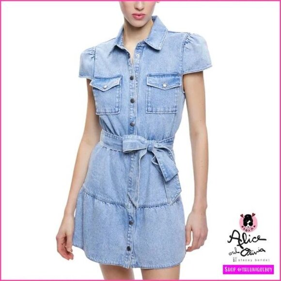 PAIGE Sky Blue Denim Shirt Dress Light Blue/Chambray dup of Alice Olivia Miranda - Picture 1 of 4